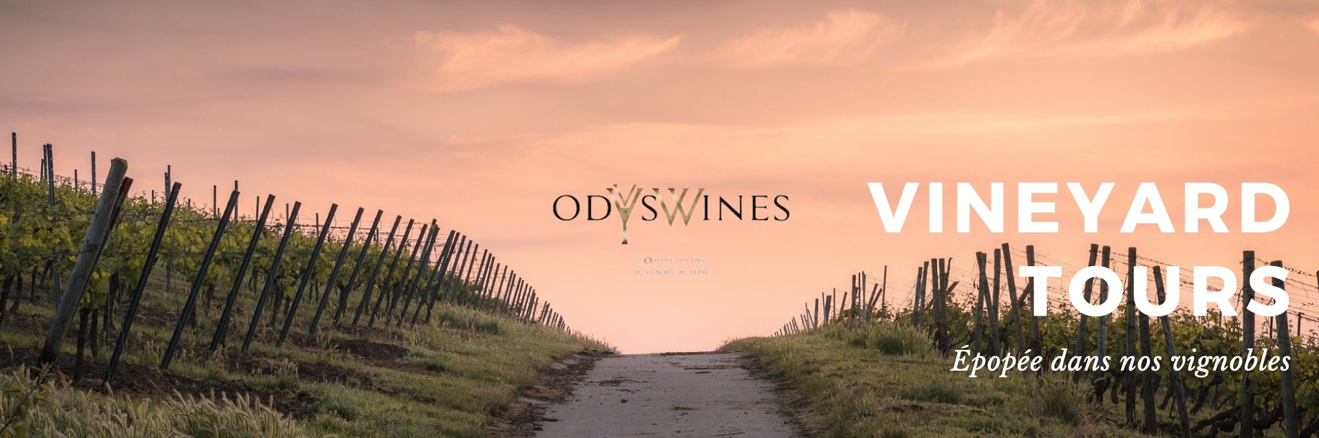 Odyswines - l'Odyssée des vins du vignoble au verre